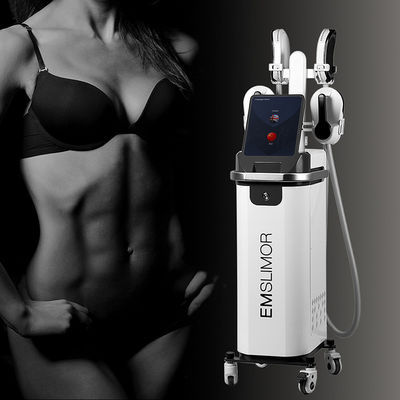 주문 OEM/ODM Ems Body Slim Ems 근육 자극기 Ems Shaping Sculpting Machine 네오 전자 자기 몸 조각 기계 온라인 제조