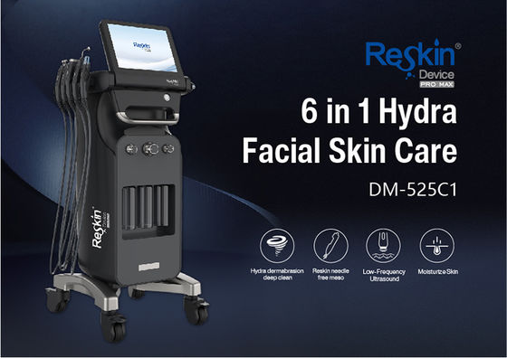 주문 Outlet Professional Hydra Dermabrasion Skin Care Facial Machine 6 in 1 온라인 제조